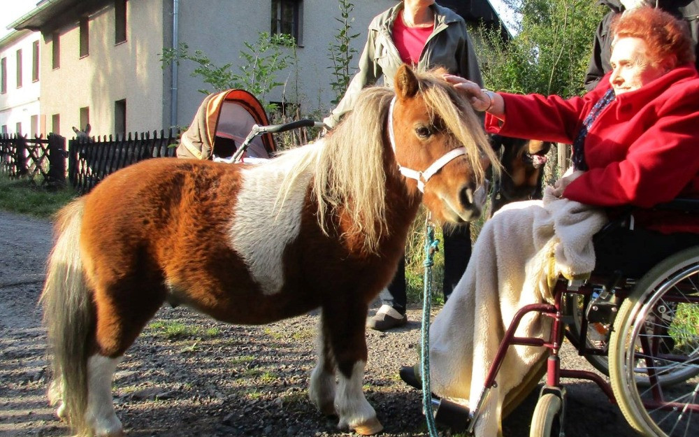 Zvířátka patří na Dvoreček – pomozte nám udržet zvířátka doma (u Adélky)