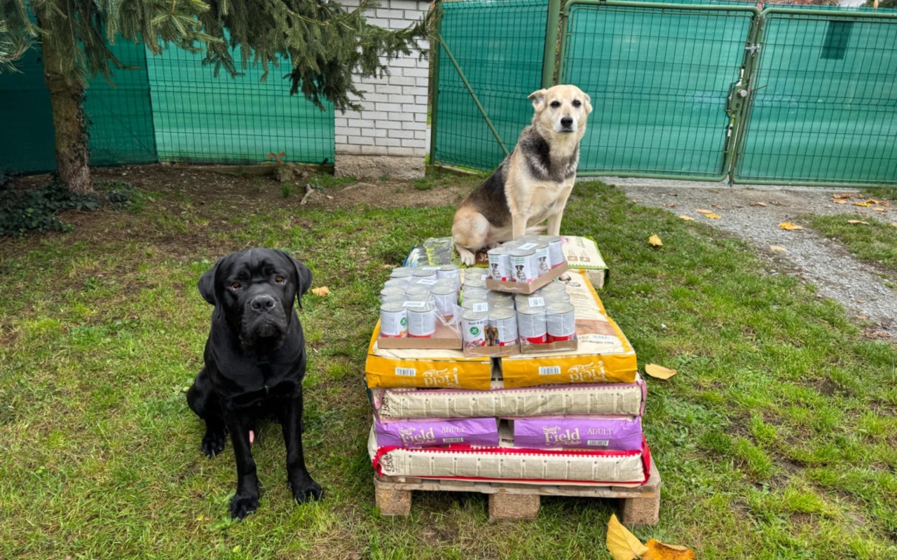Granule pro psy v dočasné péči - Dočasky De De