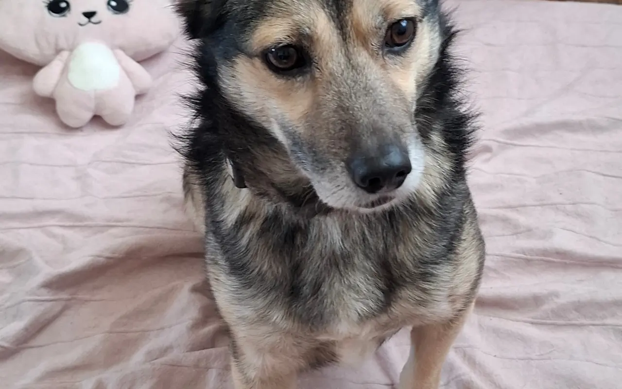 Pomohli jste Dirkovi k lepšímu životu