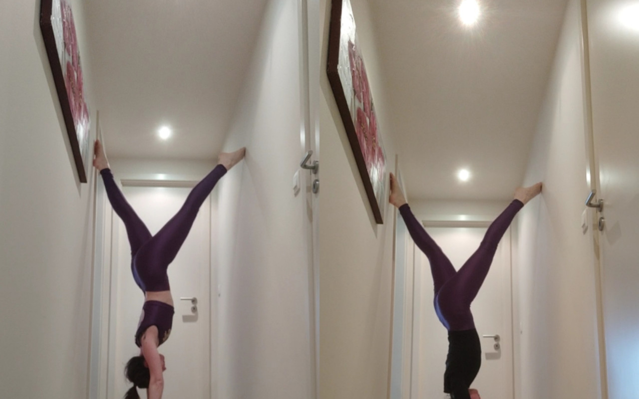 Optima gym