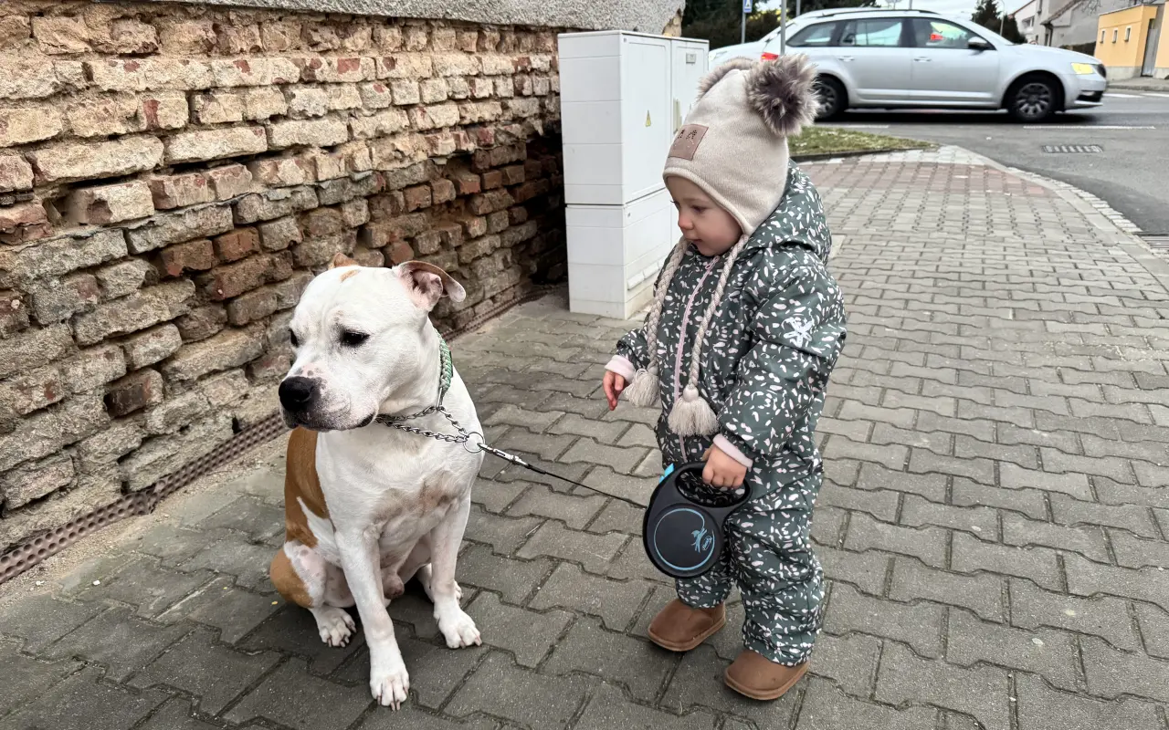 Pomohli jste Ronnymu v boji se zákeřným lymfomem