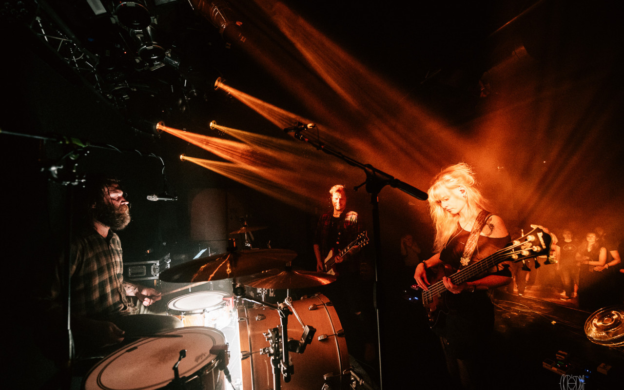 Dixie On The Road Vol.5: The Wild Roots