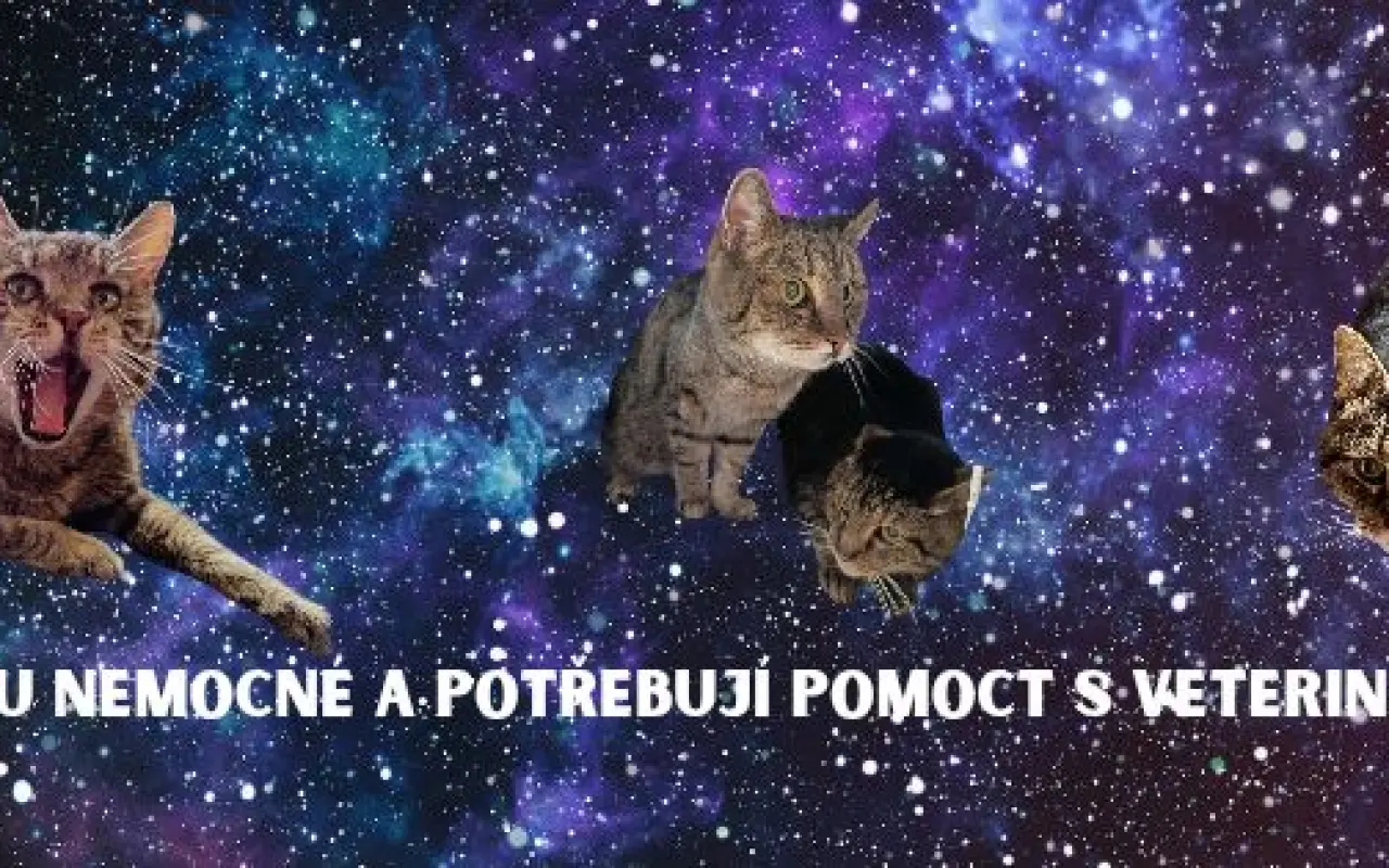 Lívanec a Dobrota potřebují léky