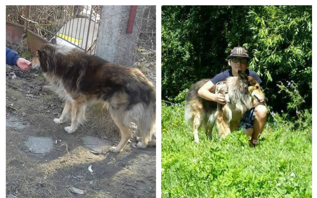 Pomohli jste uhradit faktury na veterině pro opuštěné kočičky