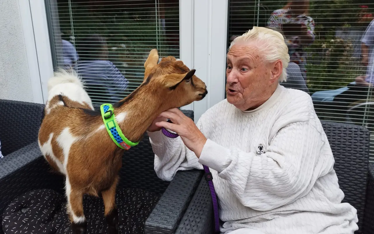 Pomohli jste tlapkám a kopýtkům, které léčí