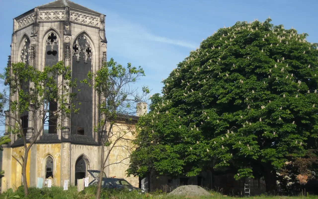 main photo image