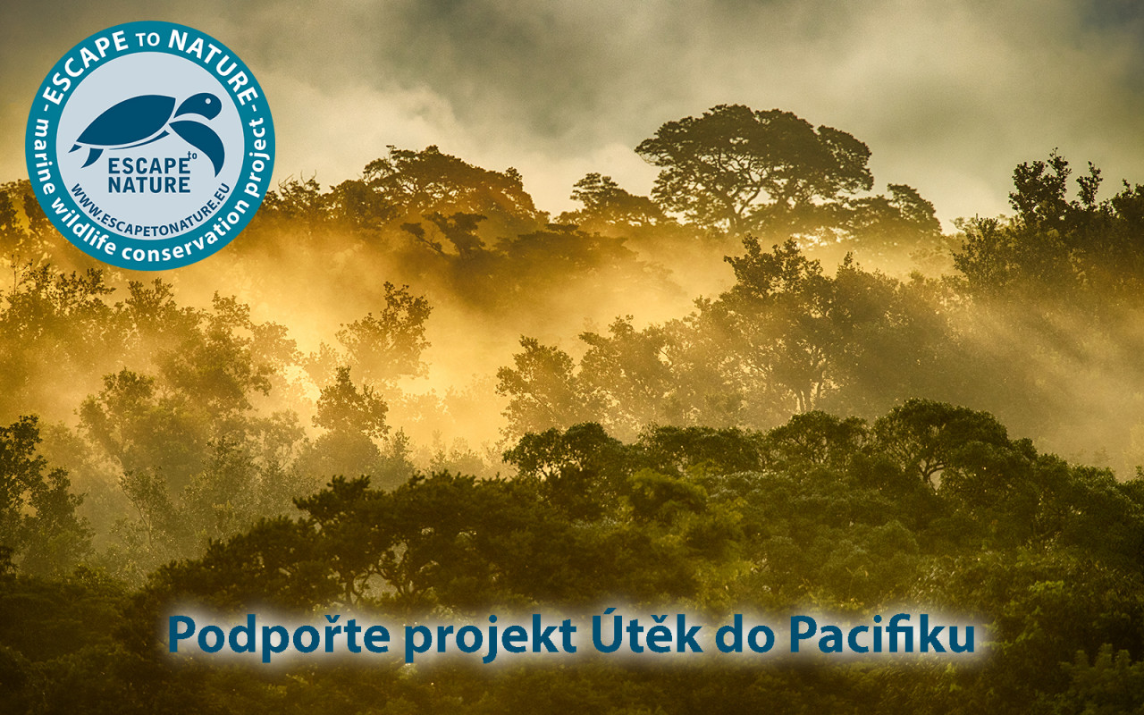 Útěk do Pacifiku - Papua Nová Guinea