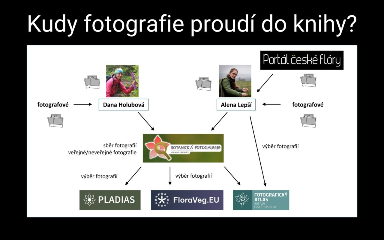 Fotografie všech českých rostlin v jedné KNIZE? Pojďme to dotáhnout!