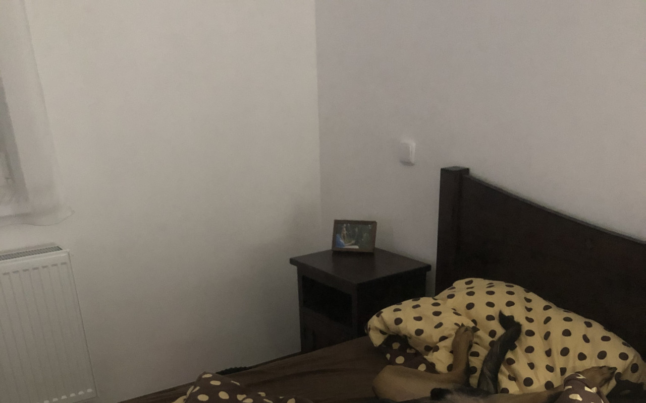 Nové kyčle pro Breďouška pro dlouhý a bezbolestný život