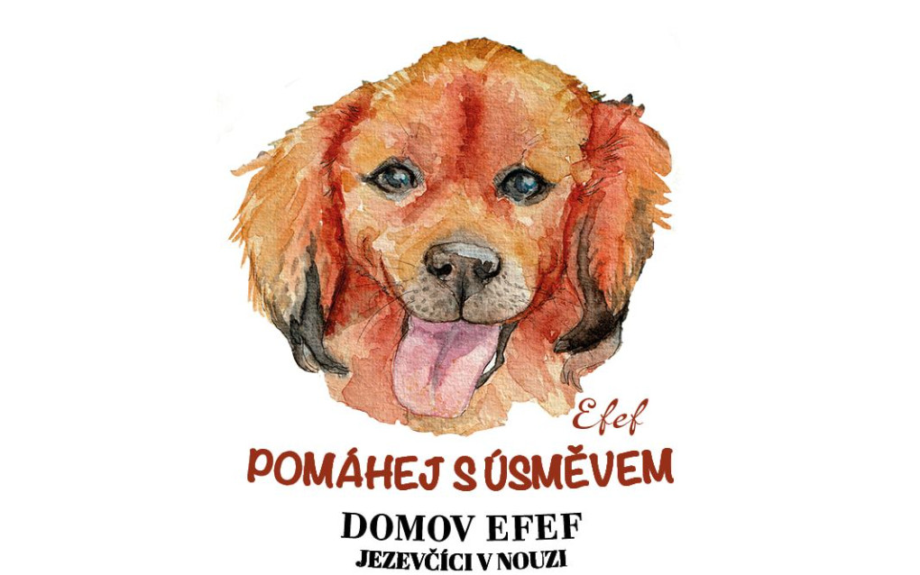 Dárky pro Jezevčíky v nouzi