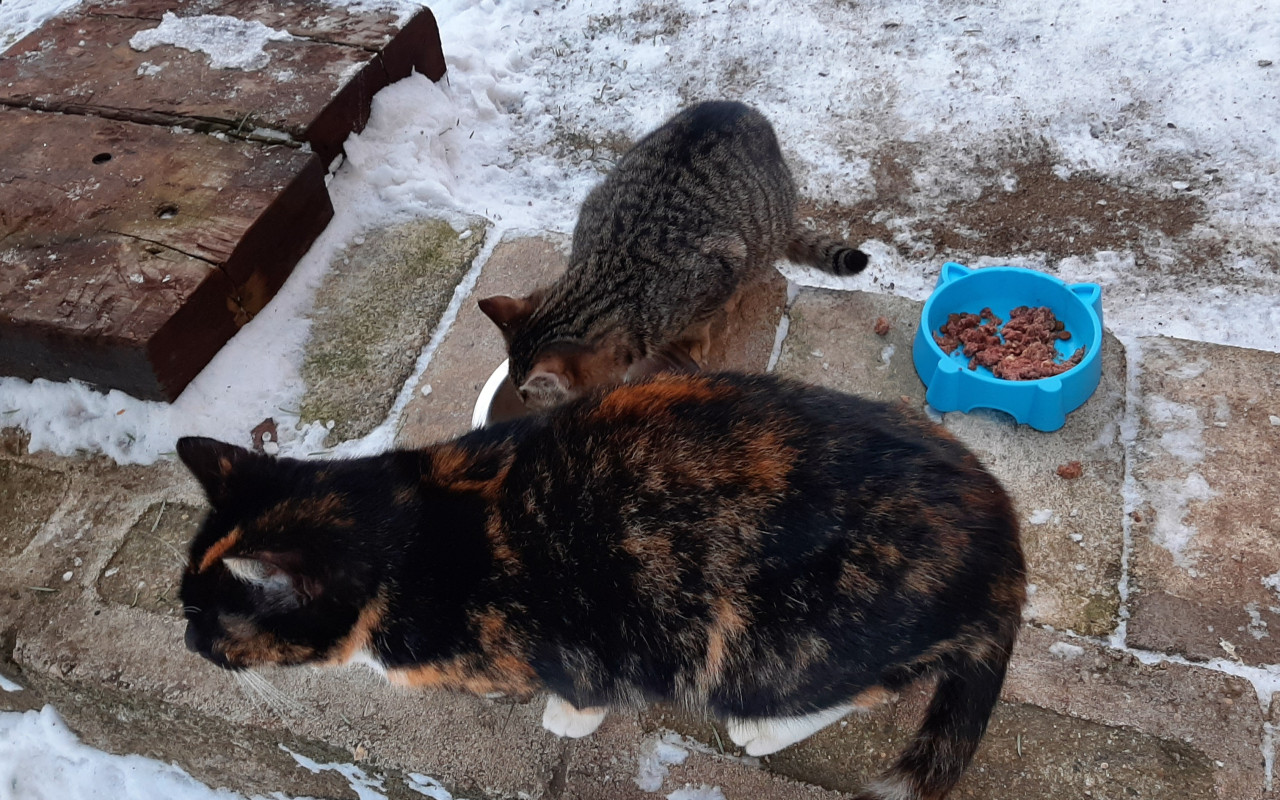 3 dobré skutky v 1 pomoci