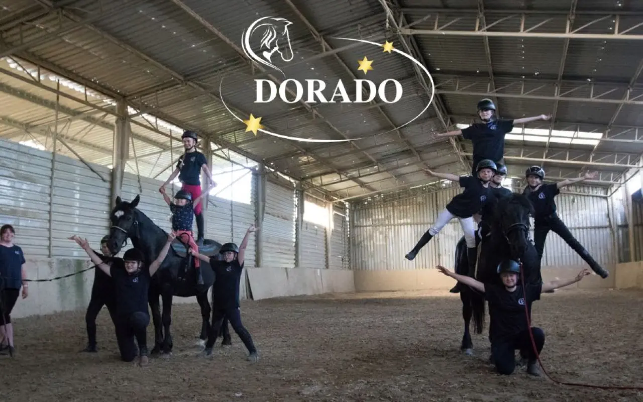 Pomohli jste postavit trojbox pro koně DORADO