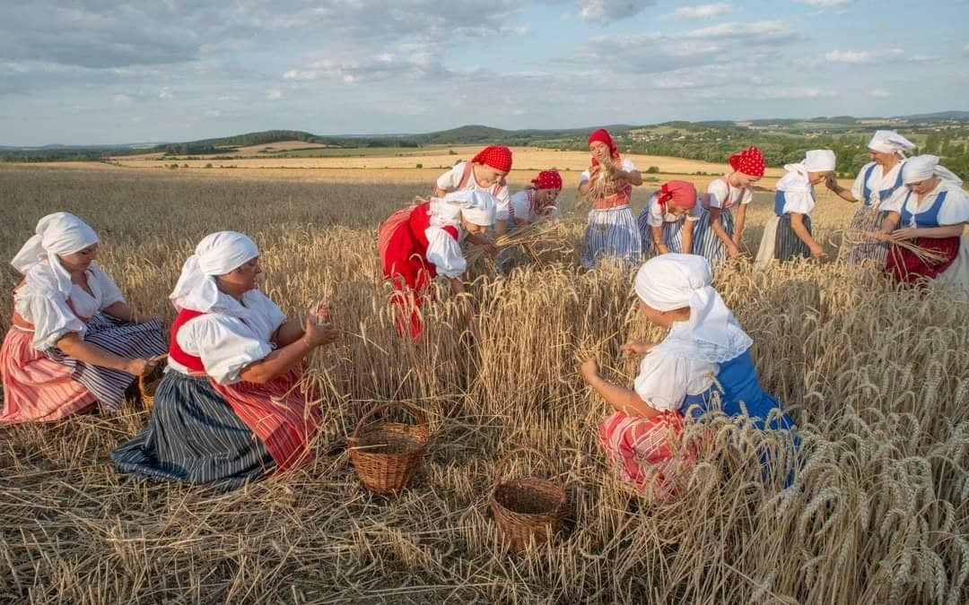 Zachránili jste unikátní podvodní pozorovatelnu v Lomečku