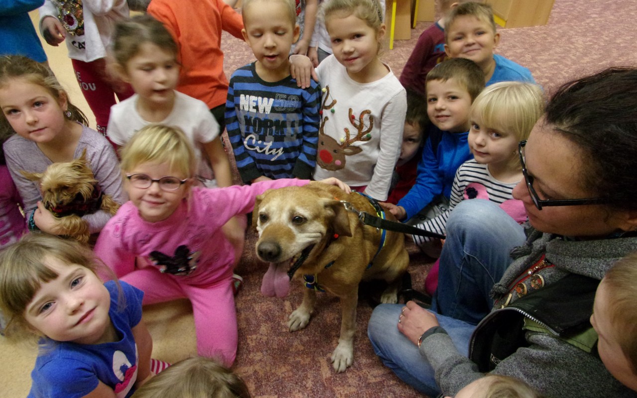 Canisterapie CANTES v krajích ČR jako sociální rehabilitace