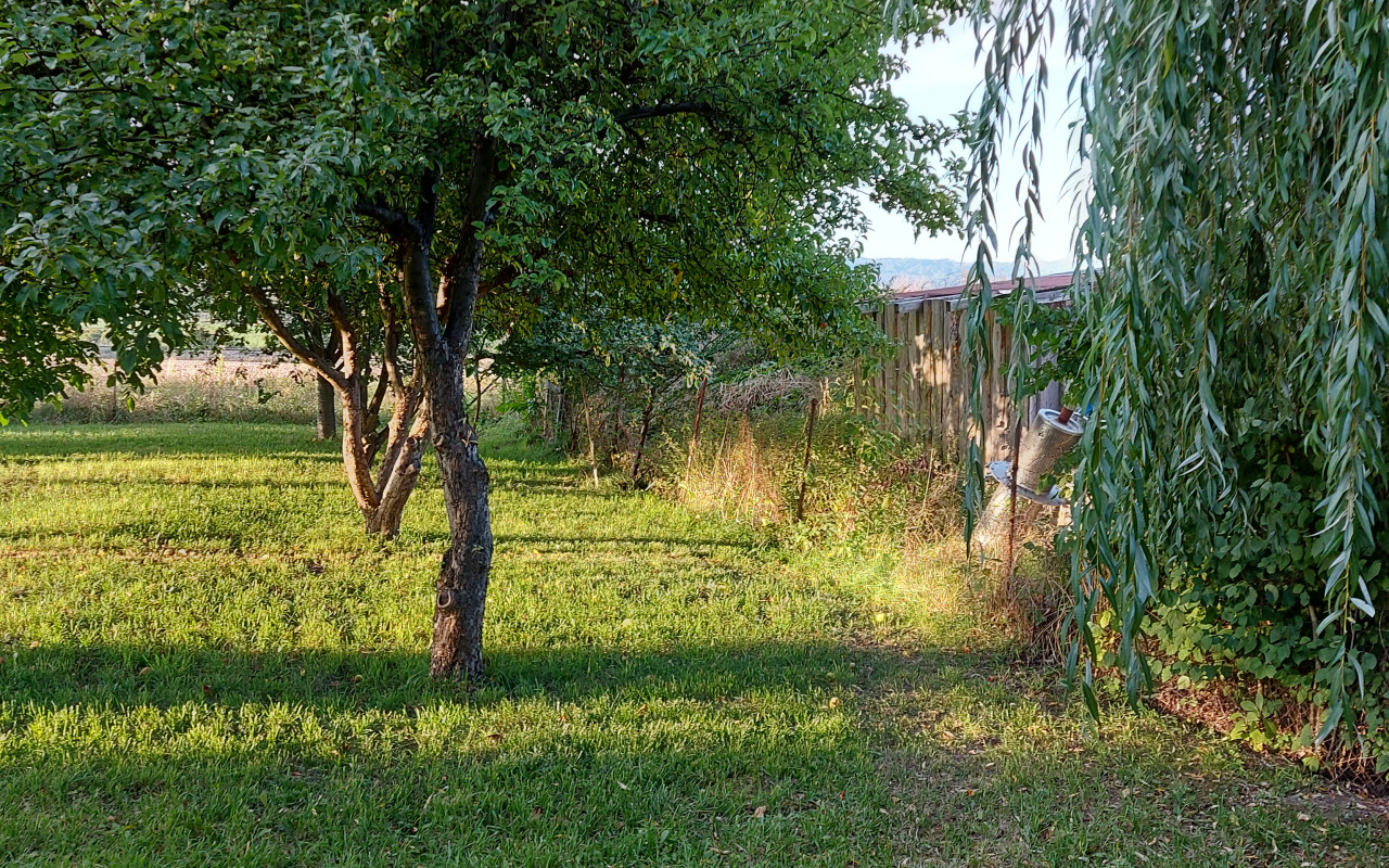 Kočičí park - Útulek SOZLit, část 1. střecha a oplocení