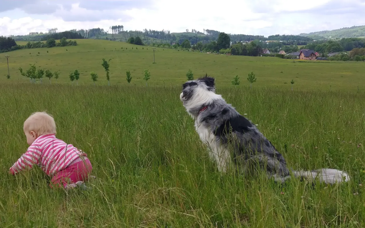 Podpořili jste veterinární péči a dietu pro Dixinku