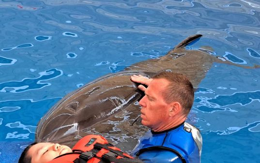 Naděje pro Zdenečka - delfinoterapie, neurorehabilitace