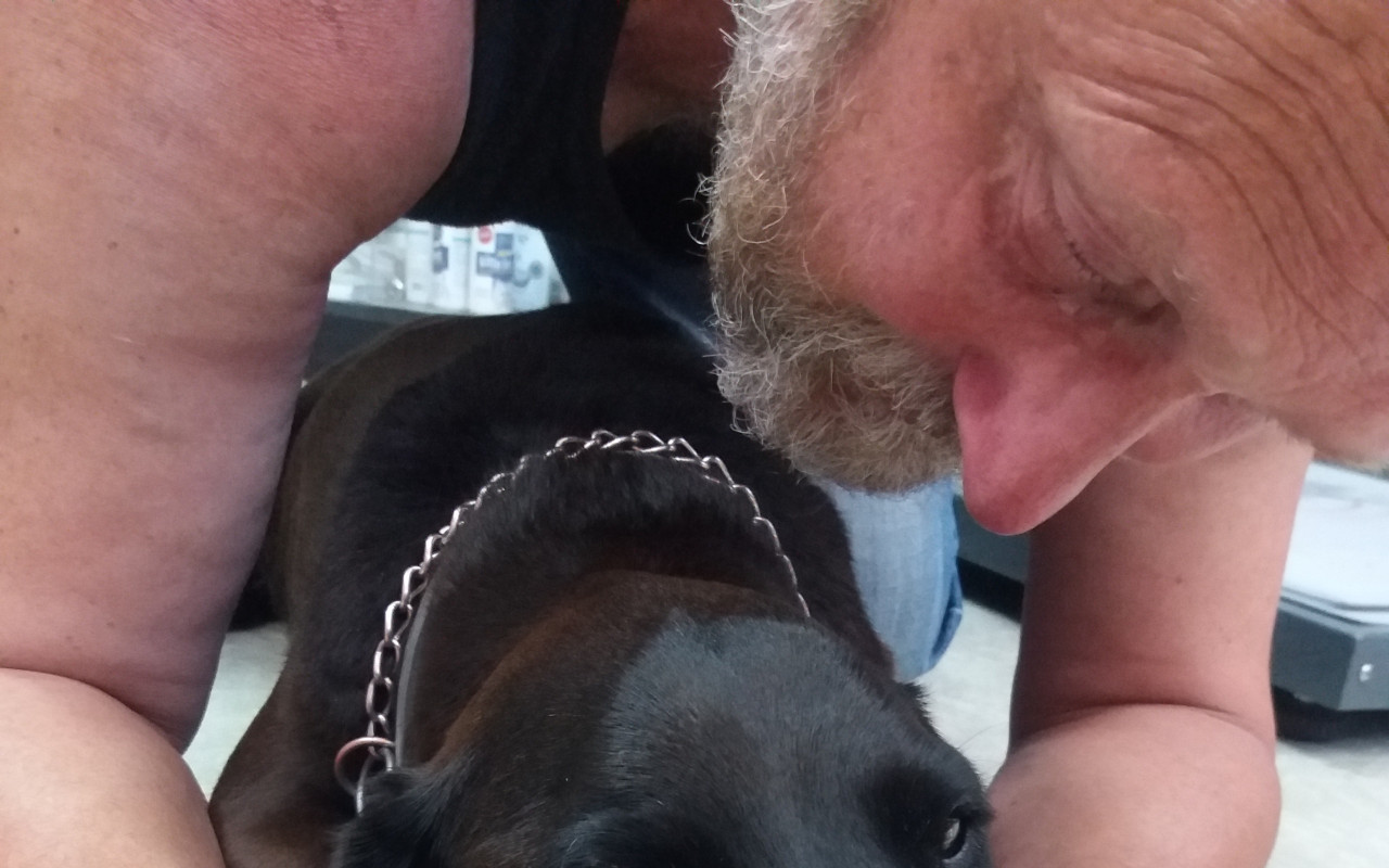 Pomohli jste podpořit léčbu fenky Čoky