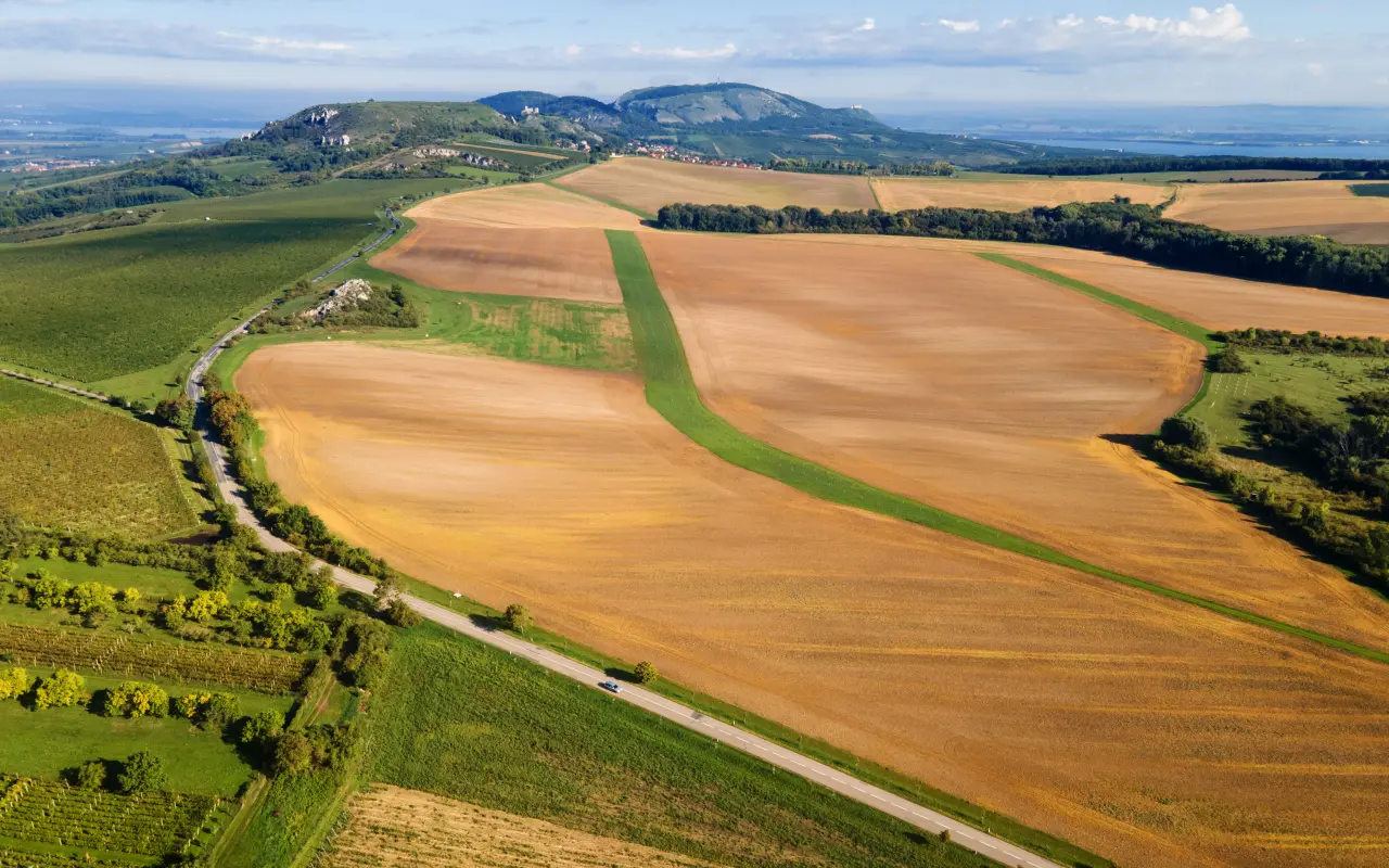 Pomohli jste proměnit pole v živý krajinný koridor na Pálavě