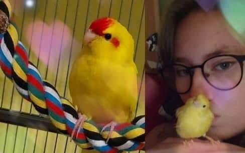 Prosíme o pomoc pro Kristýnku bojující s onkologickou nemocí