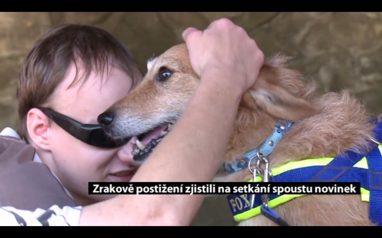 Canisterapie CANTES v krajích ČR jako sociální rehabilitace