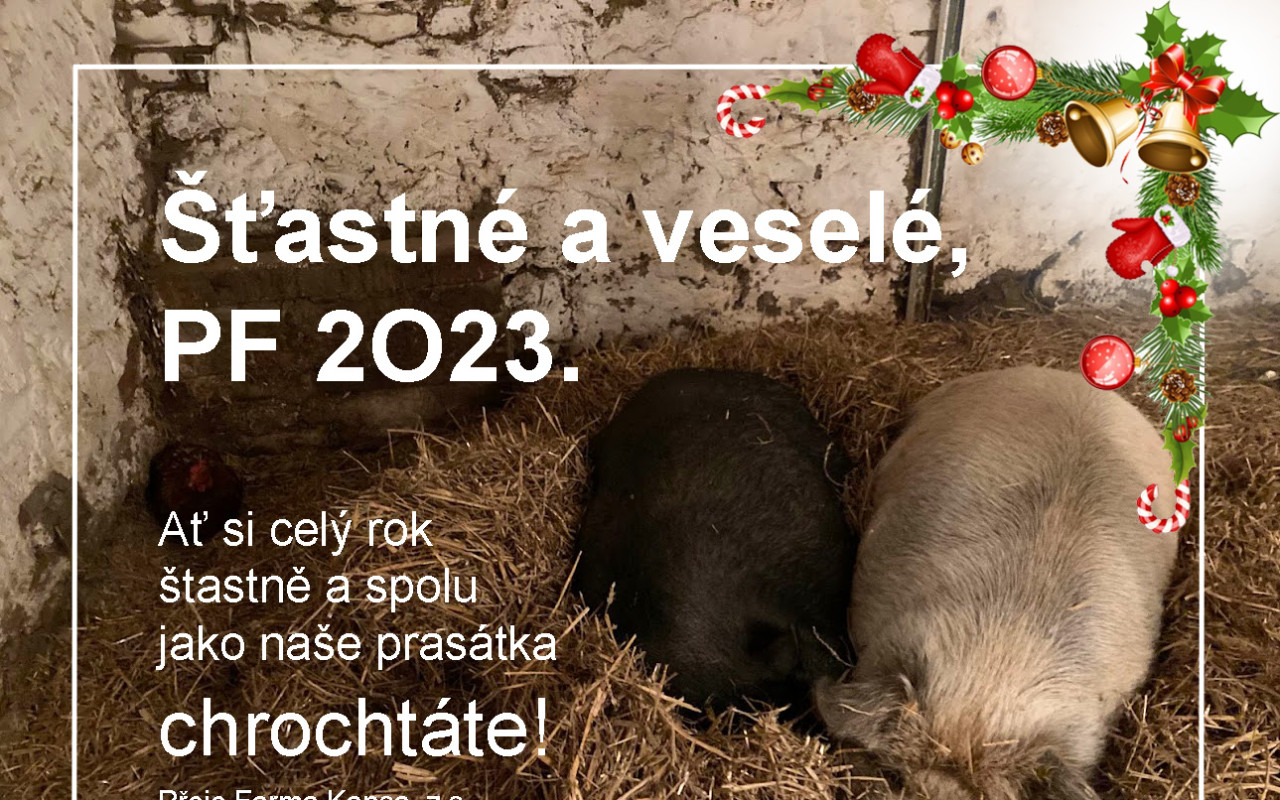 Pomohli jste koťátkům a jejich kamarádům k lepšímu životu