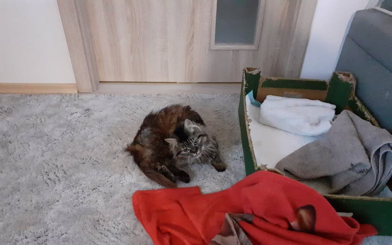 Pomohli jste v léčbě Rozárky