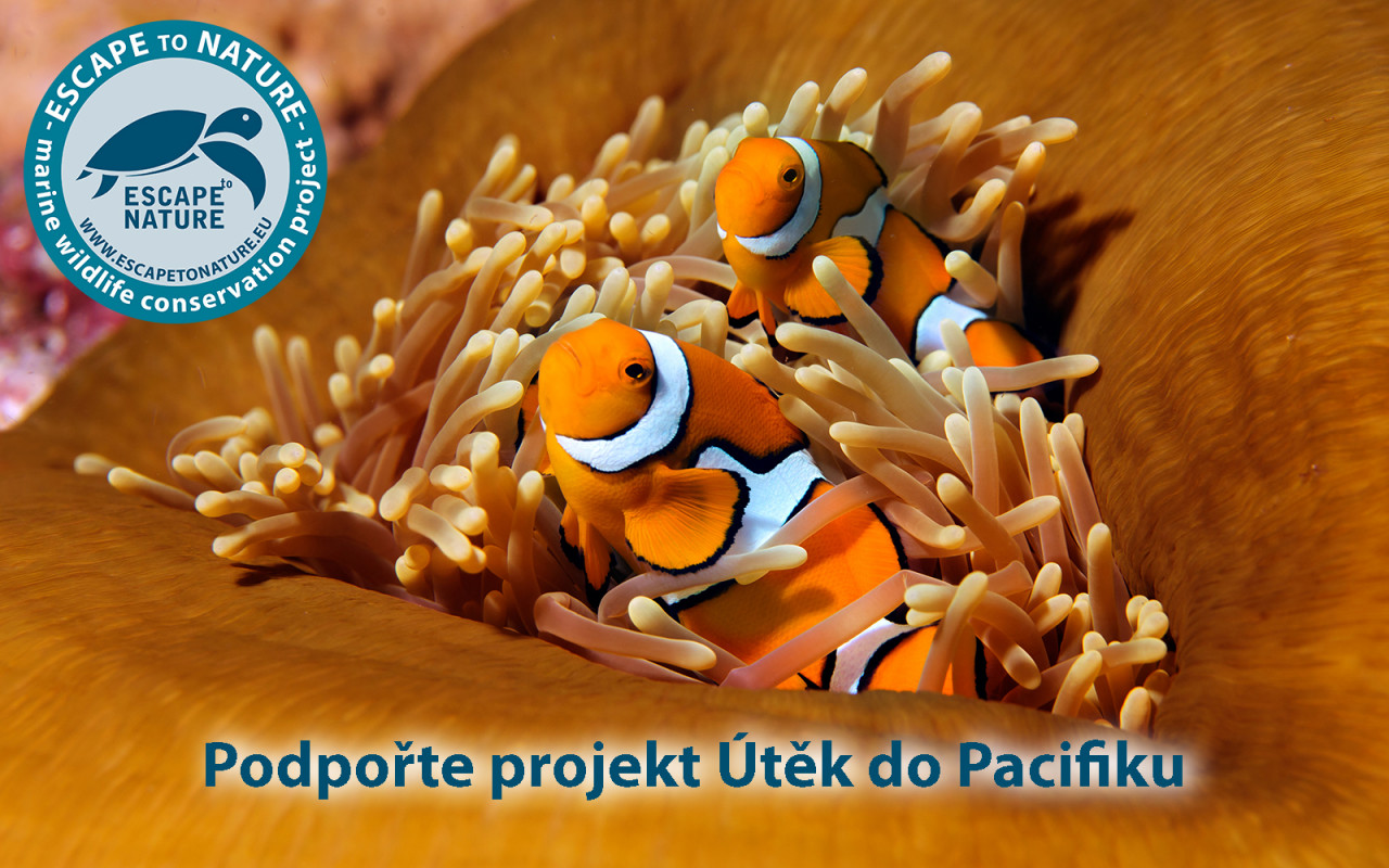 Útěk do Pacifiku - Papua Nová Guinea