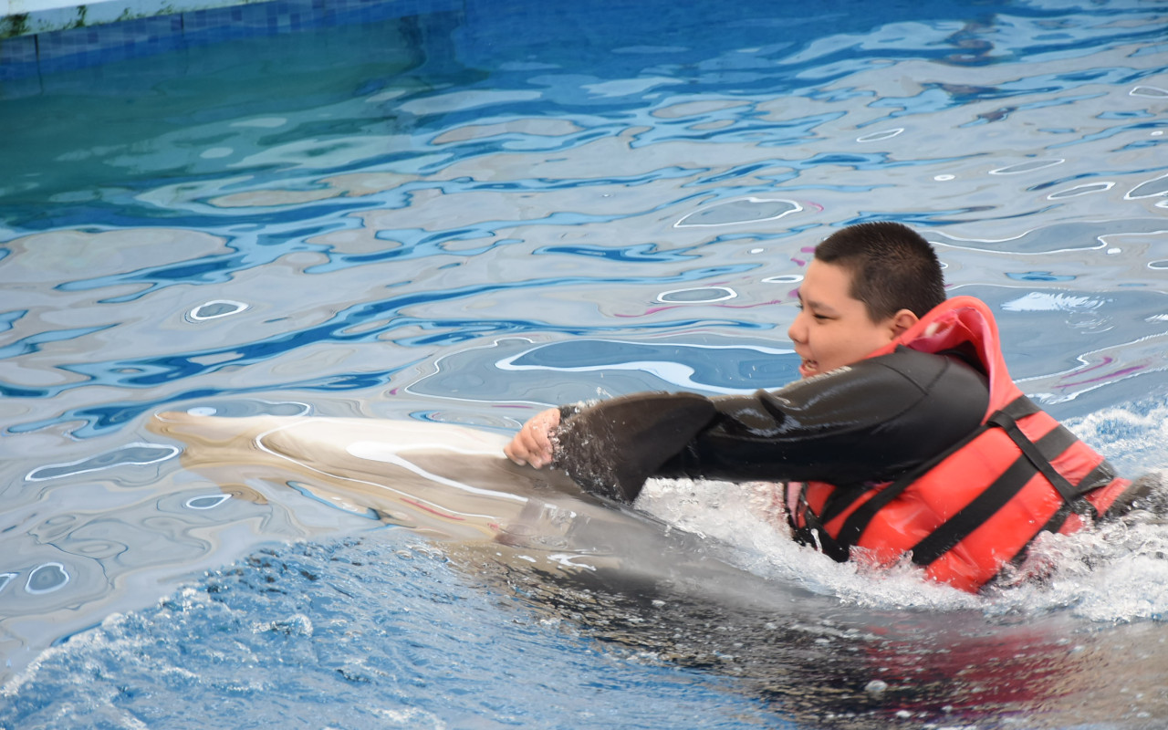 Naděje pro Zdenečka - delfinoterapie, neurorehabilitace