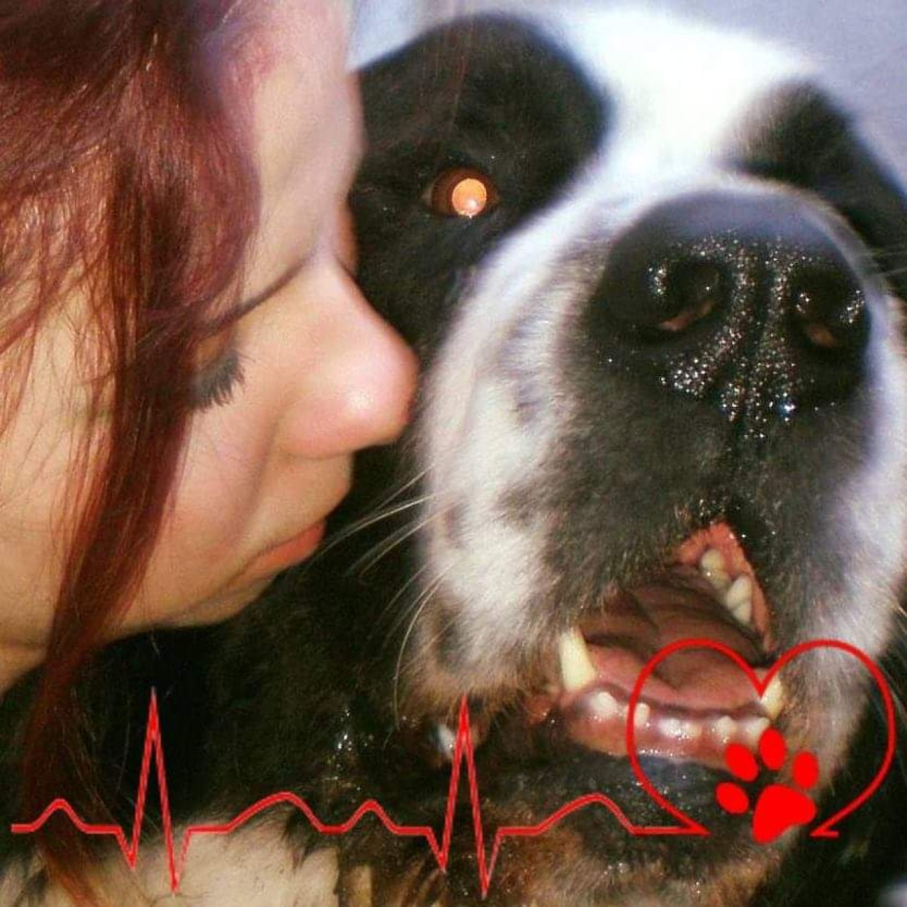 Pomohli jste pejskovi, kterého zabíjí nádor