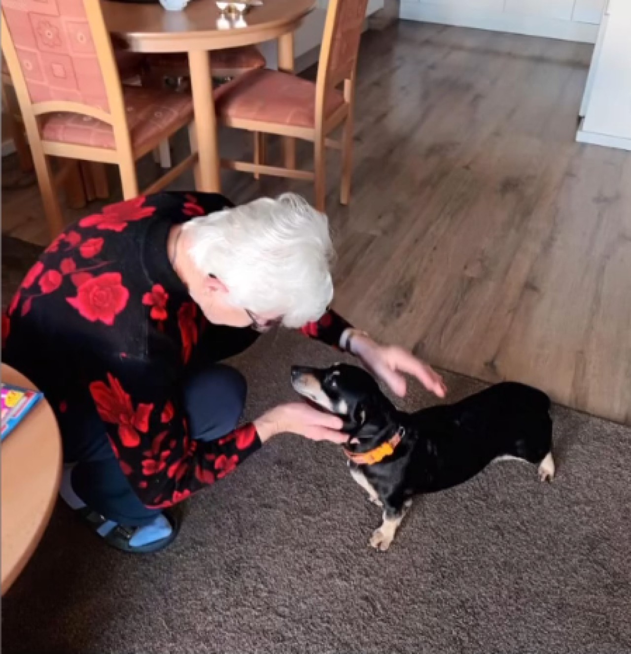 Podpořili jste FARMU HAPPY, aby mohla dále pomáhat