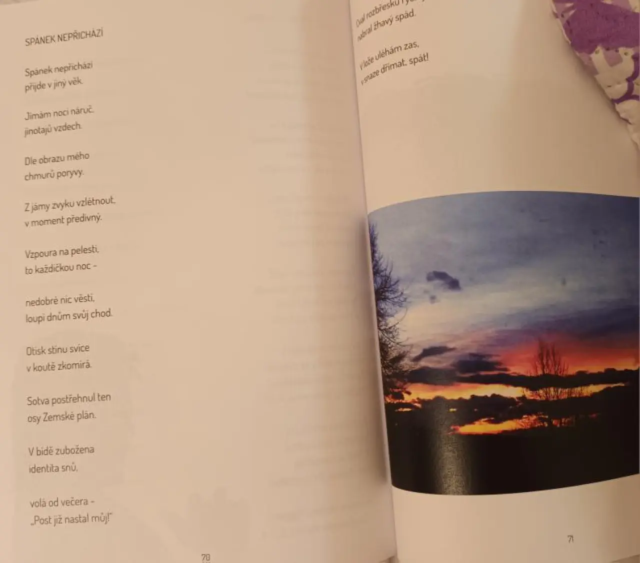 Pomozme handicapované umělkyni