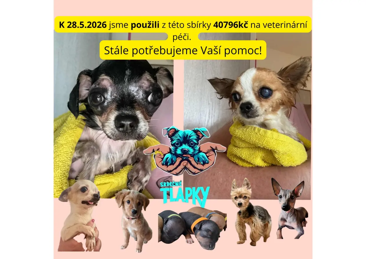 Pomozme pejskům, kteří by jinak šanci na lepší život neměli