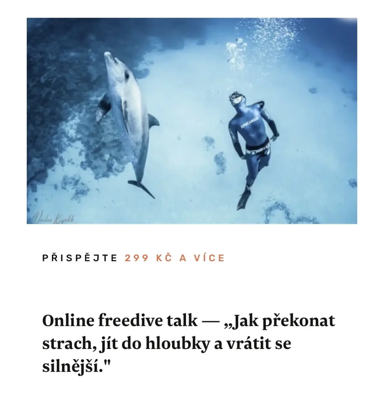 Podpořili jste vydání knížky o delfínovi Luckym