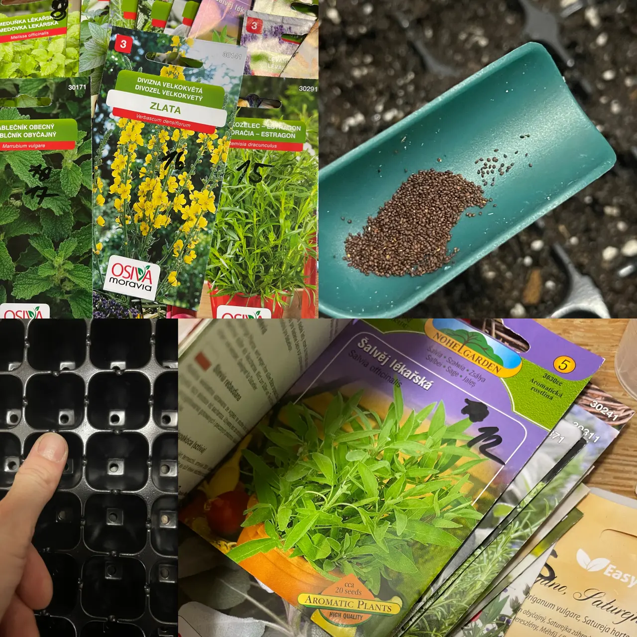 Podpořte bylinkový projekt Azeret Herbs