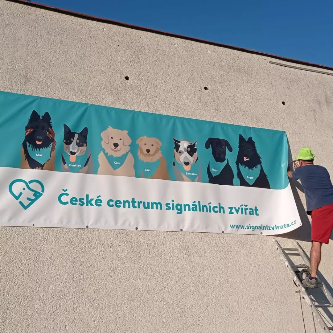 S psími lékaři proti rakovině