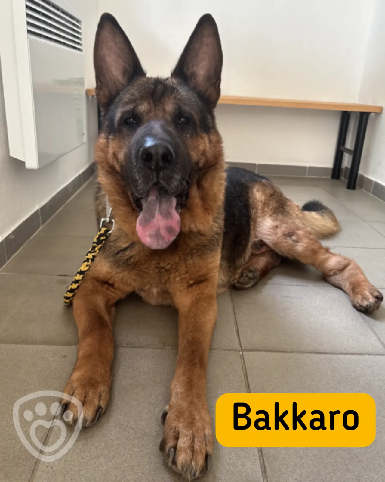 Pomohli jste Bakkarovi začít nový život