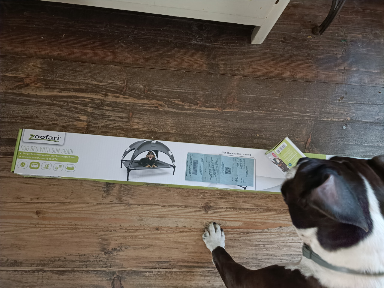Pomohli jste fence Viki k šťastnějším psím procházkám