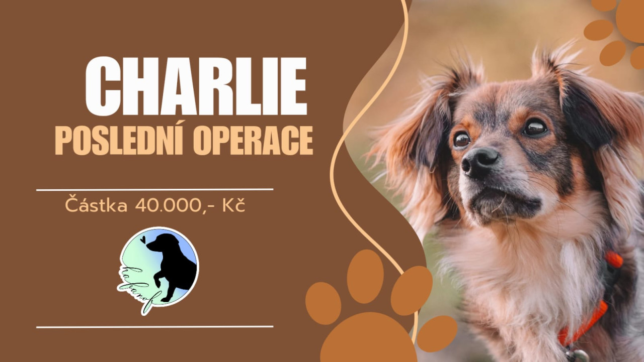 Složili jste se na poslední operaci pro Charlieho