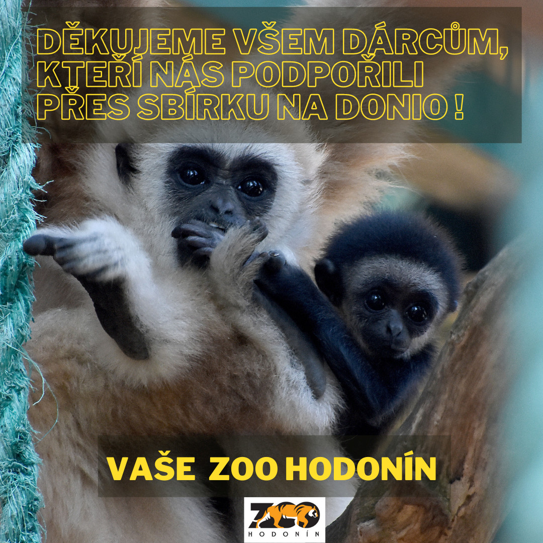 Obnova poničené ZOO Hodonín a vybudování útulku pro psy