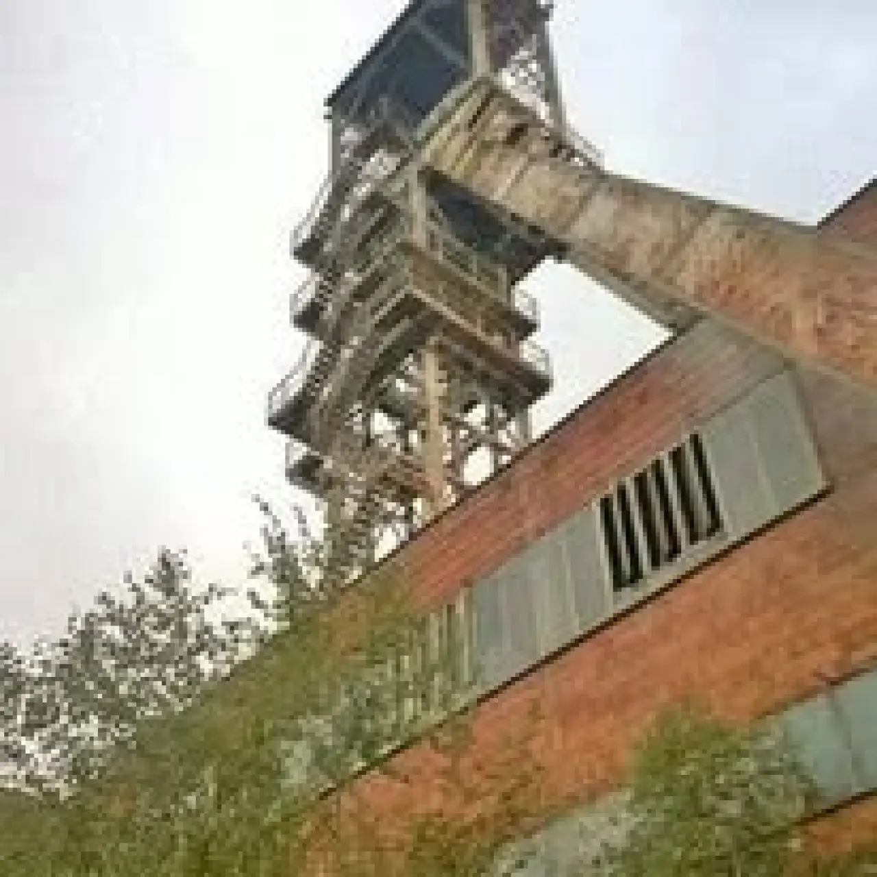 S elektrickou tříkolkou k větší samostatnosti