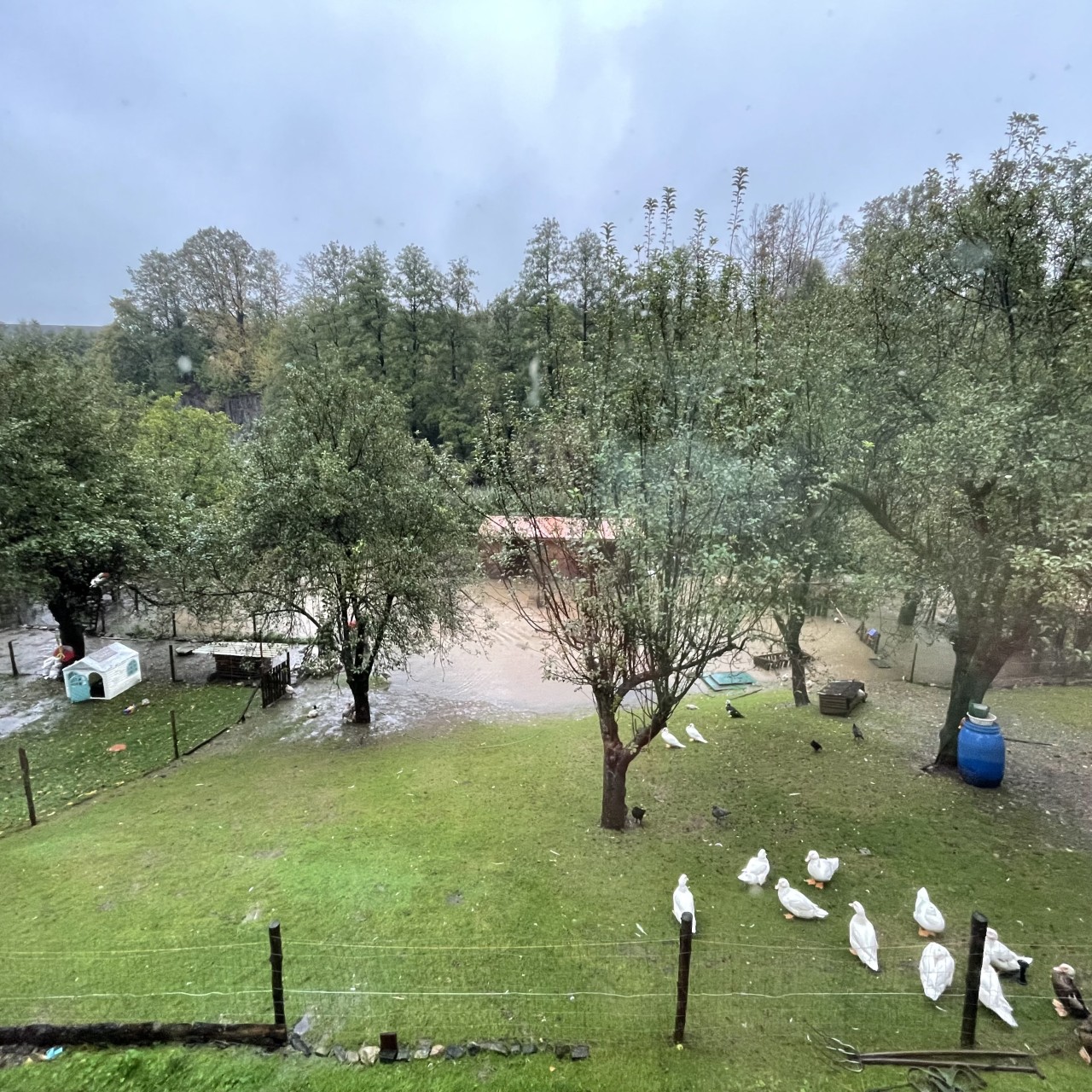 Podpořte uplavané hospodářství