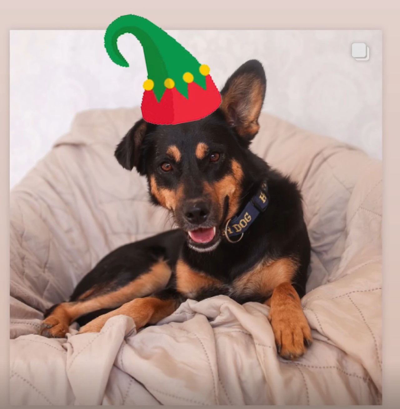Podpořili jste FARMU HAPPY, aby mohla dále pomáhat