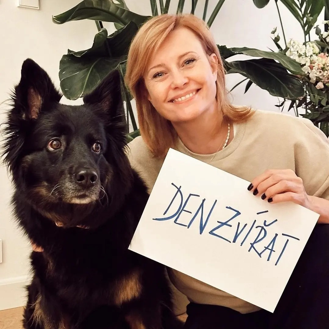 Den zvířat 2023