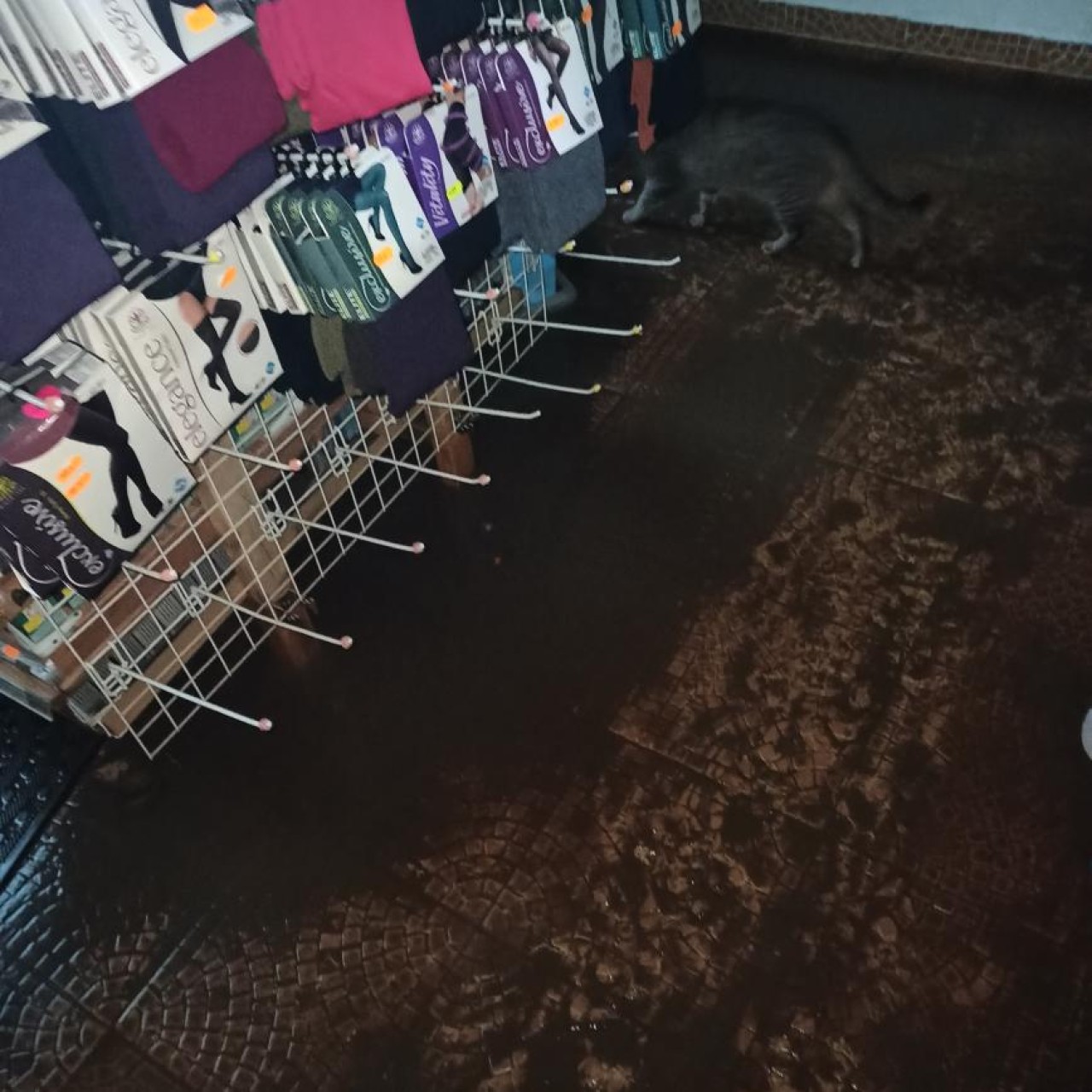 Děkujeme, že nám pomáháte po povodni, My WOSS - Ponožkový svět Jeseník