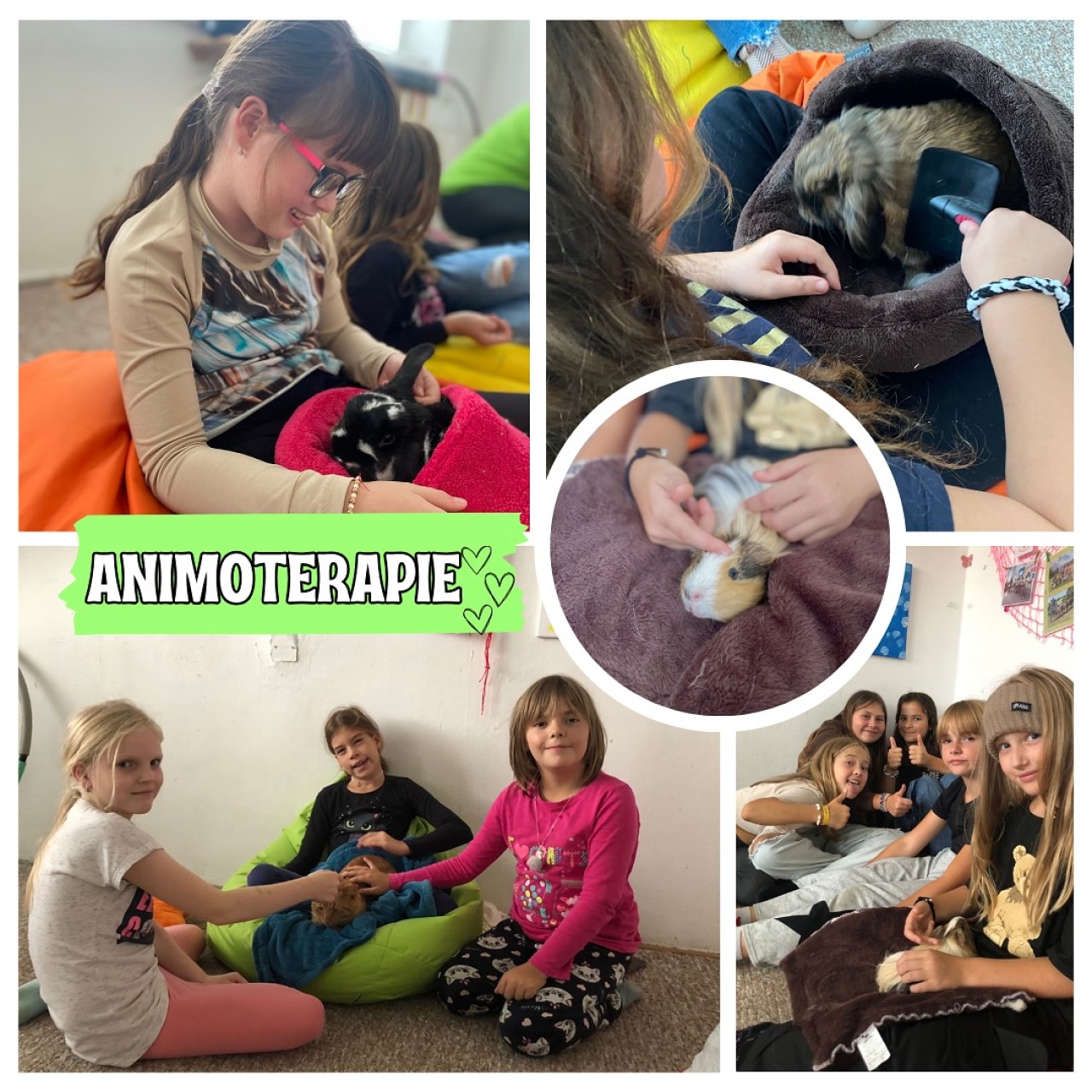 Vánoce pro naše zvířecí hrdiny!