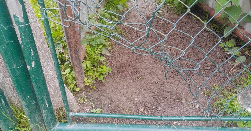 Pomohli jste přispět na opravu poničeného areálu psího útulku
