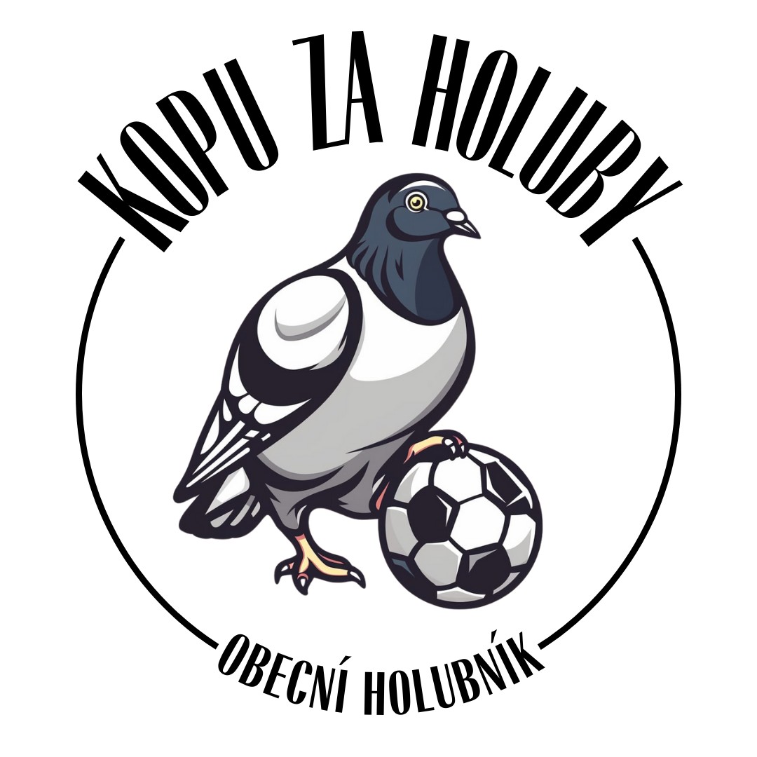 Vybudovali jste půdní holubník pro regulaci městských holubů