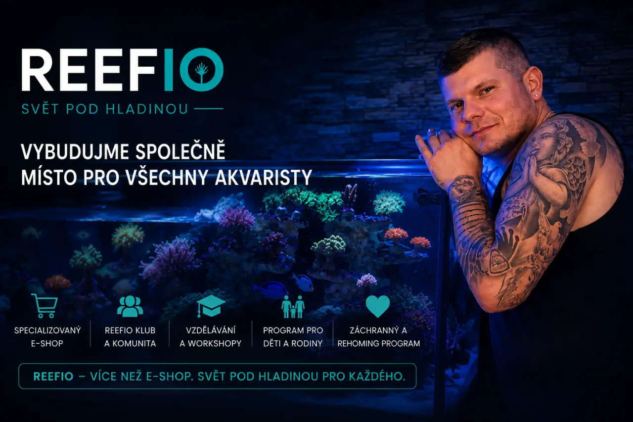 PODPOŘTE REEFIO – VYBUDUJME SPOLEČNĚ MÍSTO PRO VŠECHNY AKVARISTY