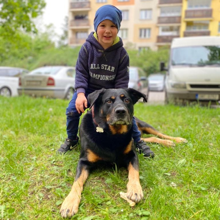 Aron štěká o pomoc s léčbou